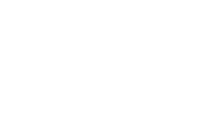 Delmont Group Ltda.